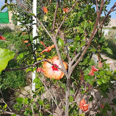 Happy Paradise 2 Apartment *